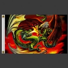 Dragon and eagle flag