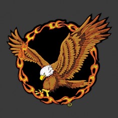 Fire eagle patch