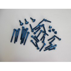 Blue ergal screw