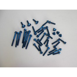 Blue ergal screw