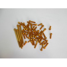 Gold ergal screw