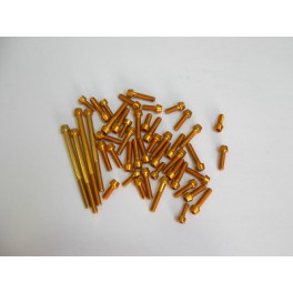 Gold ergal screw